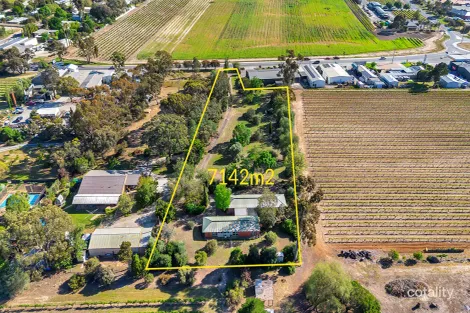 111 Greenock Rd, Nuriootpa, SA 5355
