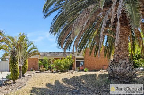 Property photo of 1 Robertson Place Bibra Lake WA 6163