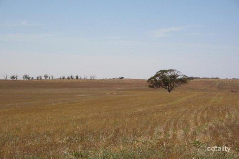 779 Hayward Rd, Lameroo, SA 5302