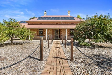 701 Traeger Rd, Grace Plains, SA 5502