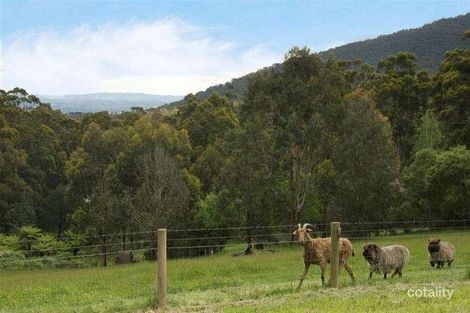 Property photo of 1609 Don Road Don Valley VIC 3139