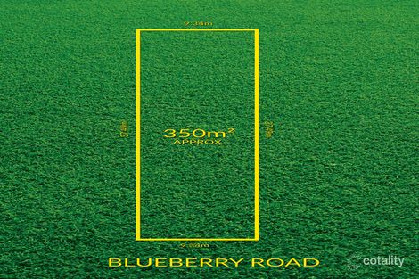 2 Blueberry Rd, Paradise, SA 5075