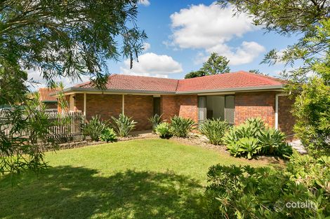 Property photo of 20 Hollywood Street Runcorn QLD 4113