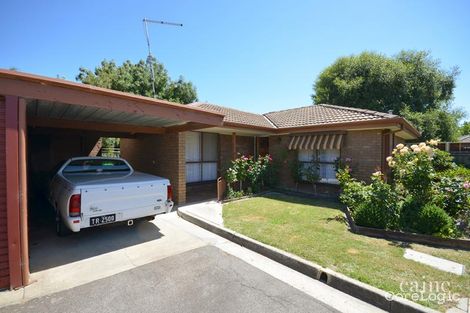 Property photo of 3/326 Walker Street Ballarat North VIC 3350