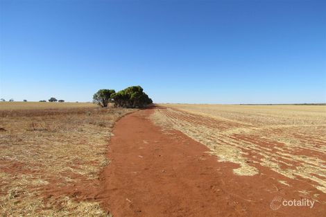 10830 Geraldton-Mount Magnet Rd, Pindar, WA 6631