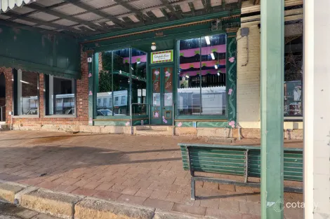 Property photo of 161 Swan Street Morpeth NSW 2321