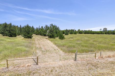 Mclennans Rd, Clunes, VIC 3370