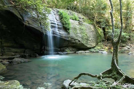 Property photo of 3 Daydream Court Buderim QLD 4556