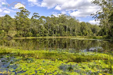 87 Mighell Rd, Yarrahapinni, NSW 2441