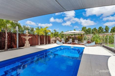 Property photo of 155 Camp Flat Road Bli Bli QLD 4560