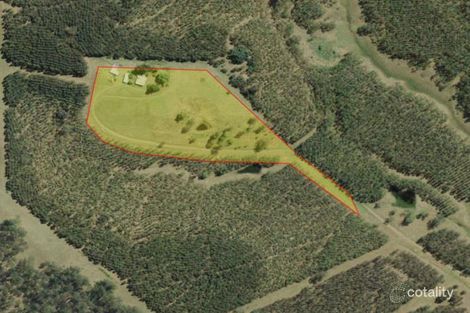 Property photo of 97 Carruthers Road Doubtful Creek NSW 2470