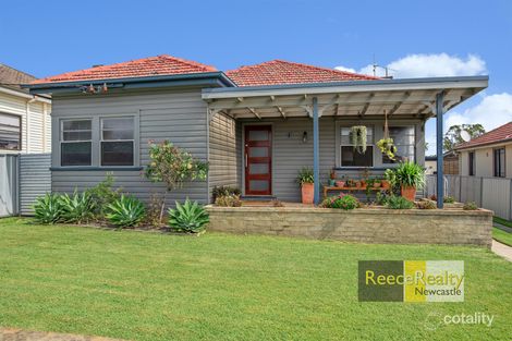 37 Catherine St, Waratah West, NSW 2298