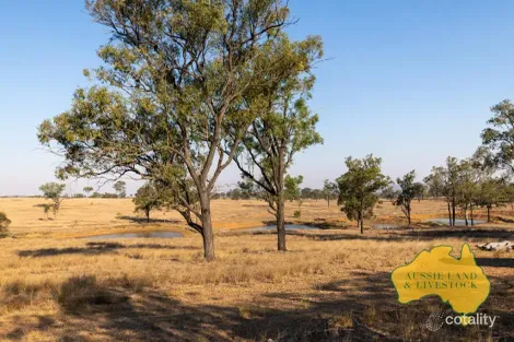 110 Benhams Rd, Mundubbera, QLD 4626