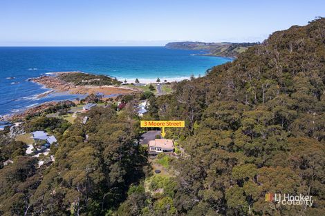 Property photo of 3 Moore Street Waratah TAS 7321