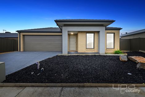 6 Stuchbree St, Cobblebank, VIC 3338