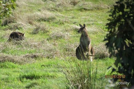 20 Settlers Run, Botanic Ridge, VIC 3977