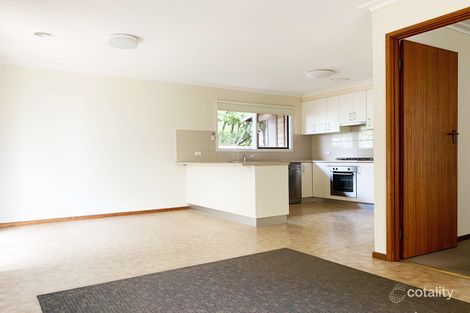 Property photo of 43 Austin Street Newtown VIC 3220