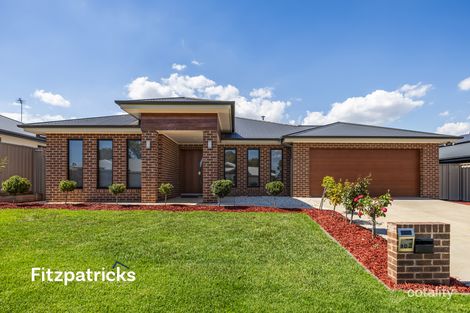 102 Messenger Ave, Boorooma, NSW 2650