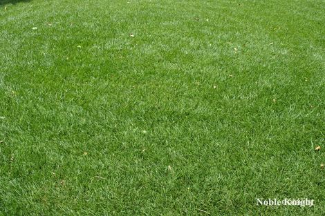 Property photo of 46 Rowe Street Mansfield VIC 3722