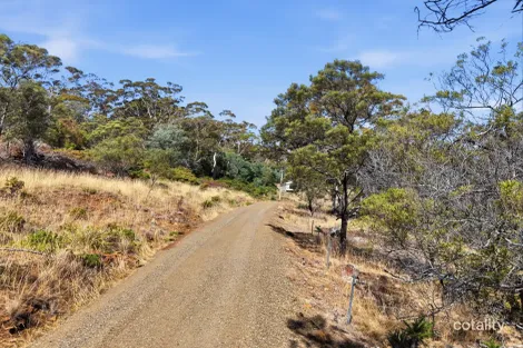 Property photo of 237 Pateena Road Longford TAS 7301