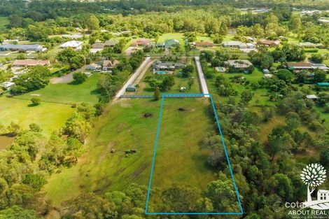 Property photo of 98 Morris Road Elimbah QLD 4516