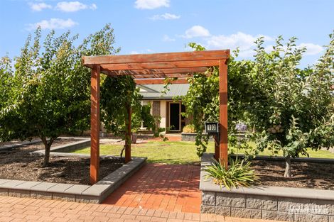 Property photo of 10 Gilding Street Tanunda SA 5352