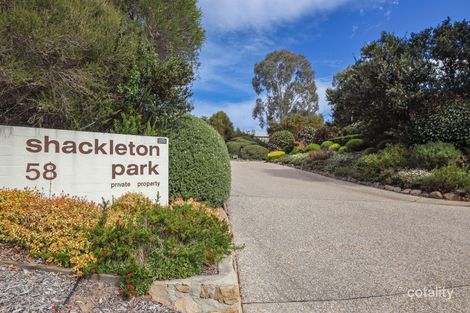 Property photo of 17/58 Shackleton Circuit Mawson ACT 2607