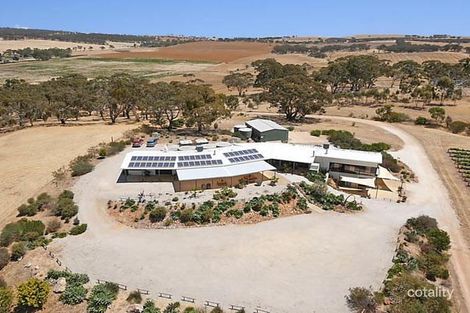 Property photo of 280 Basham Road Stanley Flat SA 5453