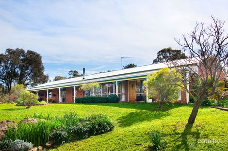Property photo of 21 Robertson Avenue Castlemaine VIC 3450