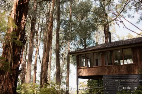 3 Toorourrong Rd, Upwey, VIC 3158