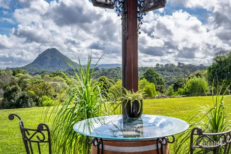 Property photo of 45 Beechtree Road Black Mountain QLD 4563
