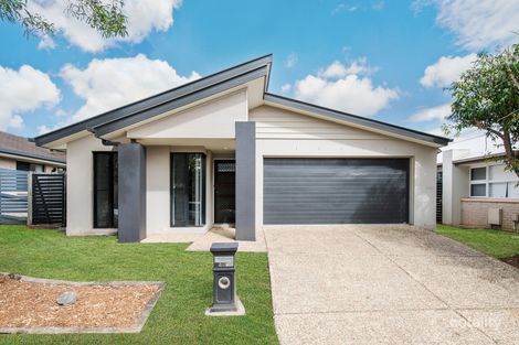 Property photo of 40 Collingrove Circuit Pimpama QLD 4209