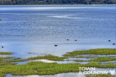 Property photo of 996 Windermere Road Swan Bay TAS 7252