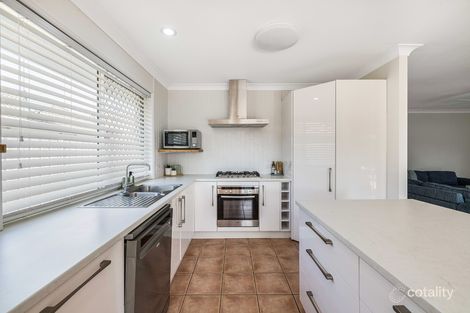 Property photo of 7 Carib Court Mountain Creek QLD 4557