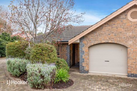 6/6 Sunglo Ct, Teringie, SA 5072