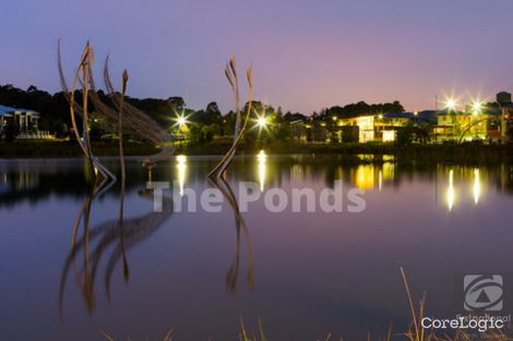 Property photo of 48 Petal Parkway The Ponds NSW 2769