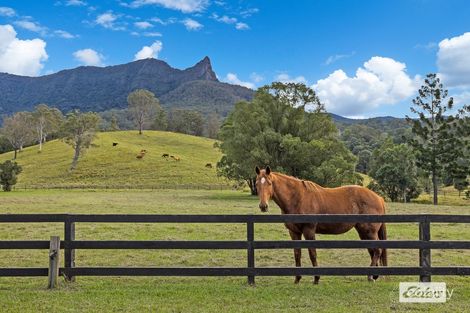 Property photo of 328 Back Creek Road Back Creek NSW 2484