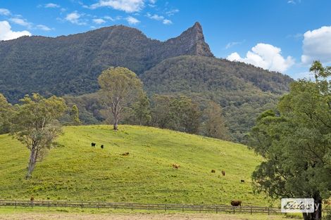 Property photo of 328 Back Creek Road Back Creek NSW 2484