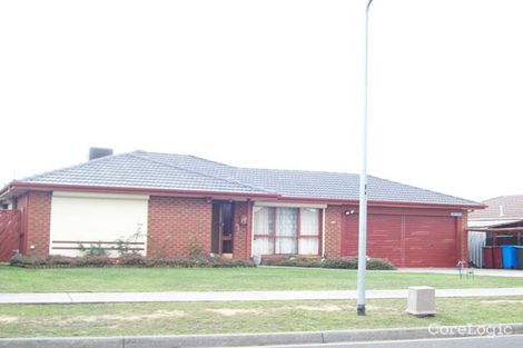 Property photo of 19 Mueller Court Endeavour Hills VIC 3802
