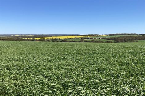 524 Grubbed Rd, Kapinnie, SA 5632