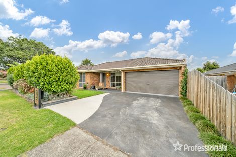41 Gilmore Cres, Lynbrook, VIC 3975