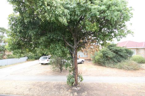 Property photo of 17 Jacob Street Marion SA 5043