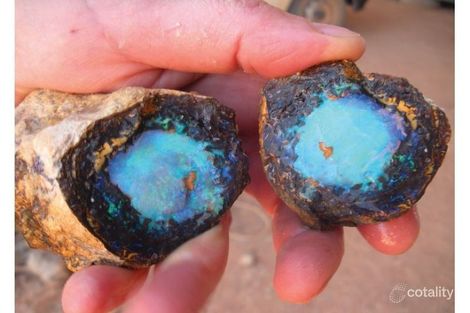 Property photo of 64 Jane Street Cunnamulla QLD 4490