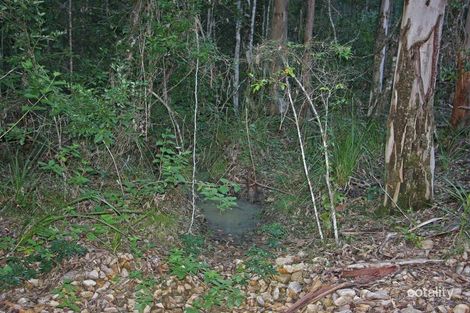 Lot 2 Burrawan Forest Dr, Lake Innes, NSW 2446