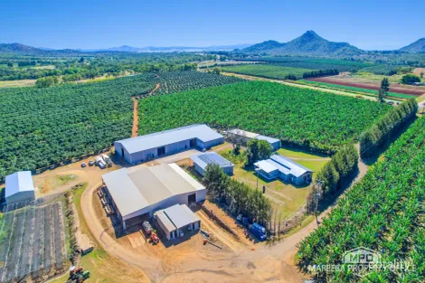 737 Channel Rd, Walkamin, QLD 4872