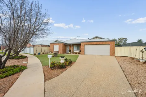 Property photo of 19 Toorak Drive Irymple VIC 3498