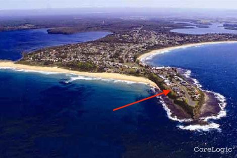 Property photo of 199 Penguins Head Road Culburra Beach NSW 2540
