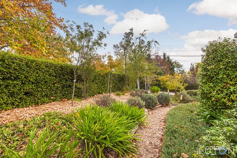 Property photo of 1/136 Blamey Crescent Campbell ACT 2612