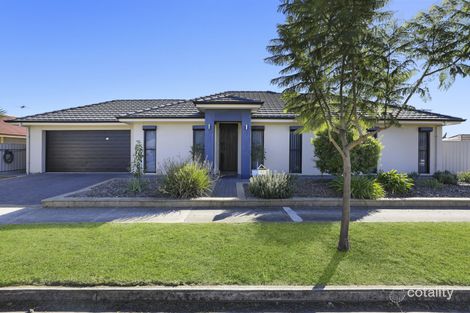 Property photo of 21 Parkhouse Avenue Seaton SA 5023