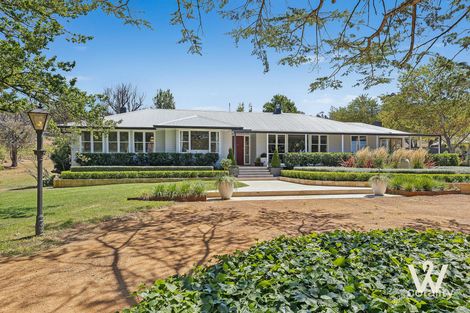 1341 Cooks Hill Rd, Bango, NSW 2582